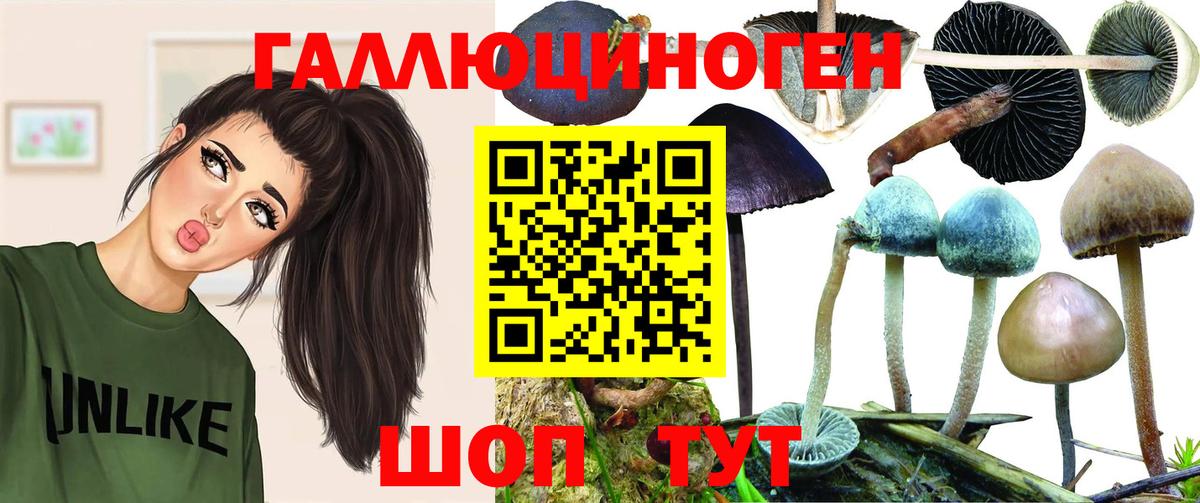 где продают   Вход с VPN  Нововоронеж  Галлюциногенные грибы мицелий  Галлюциногенные грибы Magic Shrooms 